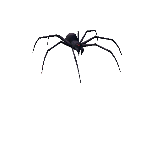 spider skn_01